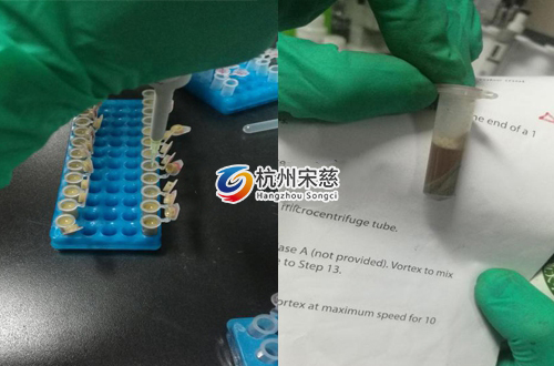 <a href=http://www.nqkxxpt.cn/prouduct/lengdong/ target=_blank class=infotextkey>冷凍研磨儀</a>